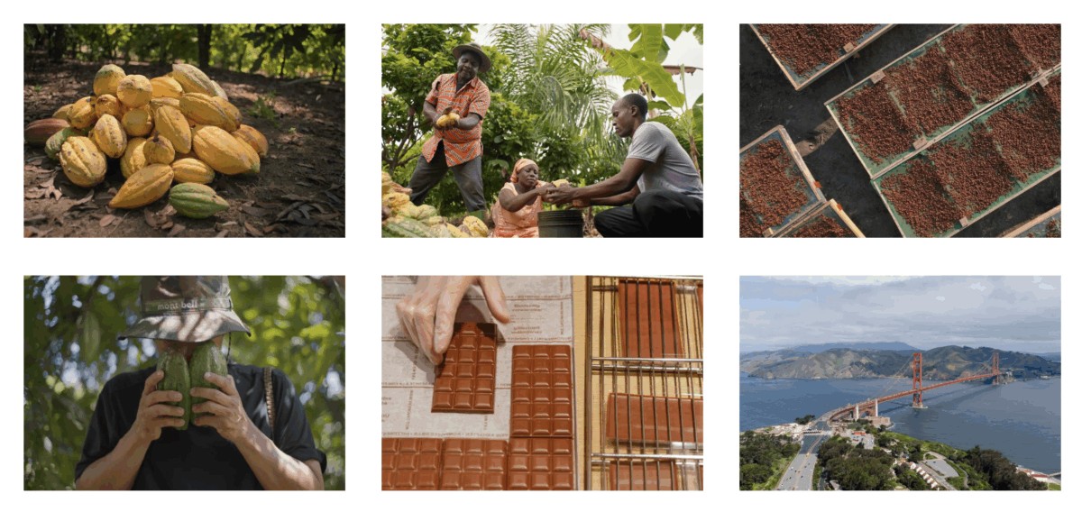 The Taste of Nature Ⅱ 映画場面