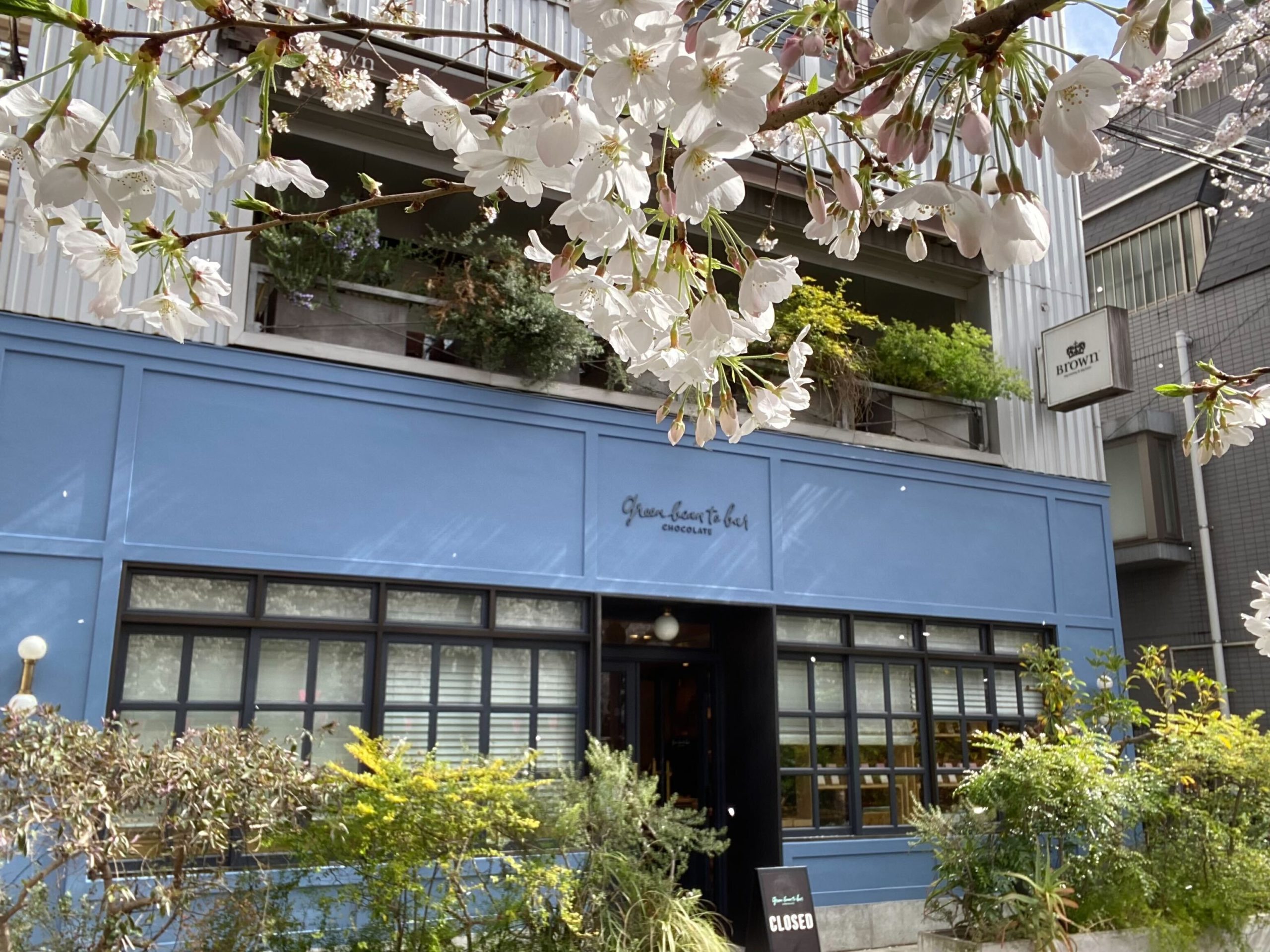 さくら、ヌートレ、青リンゴ、グレープフルーツ　各1本　ランプベルジェ 桜が香る、日本の春ショコラ。ベルアメール「Sakura Collection 2026